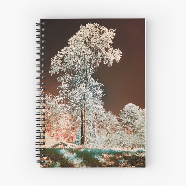 Item preview, Chokolade sky and a pine. Infrared photography designed and sold by Jouko Lehto Photography.