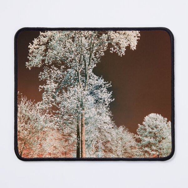 Item preview, Chokolade sky and a pine. Infrared photography designed and sold by Jouko Lehto Photography.