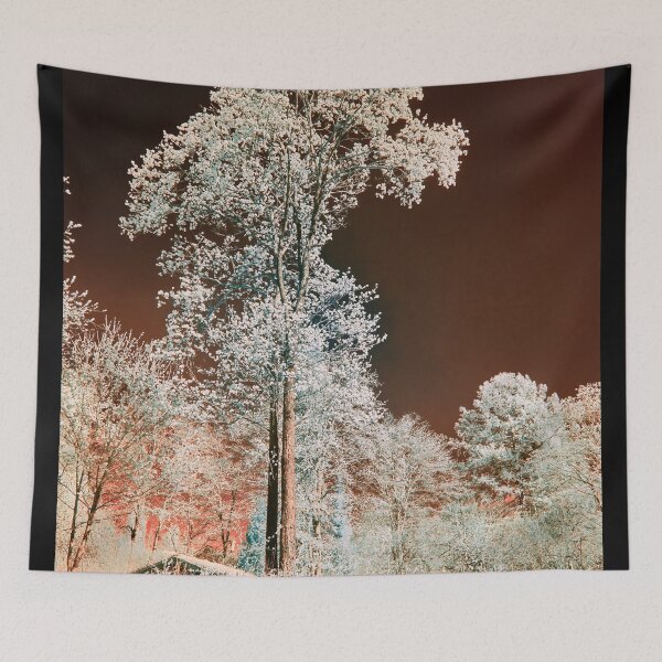 Item preview, Chokolade sky and a pine. Infrared photography designed and sold by Jouko Lehto Photography.