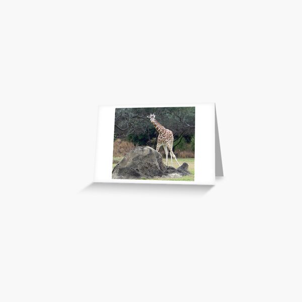 Item preview, Animal kingdom Reticulated Giraffe designed and sold by Forget-me-not.
