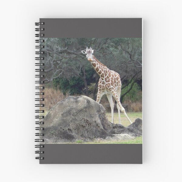 Item preview, Animal kingdom Reticulated Giraffe designed and sold by Forget-me-not.