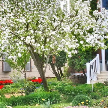 Artwork thumbnail, Spring Splendor by Claude Johnson