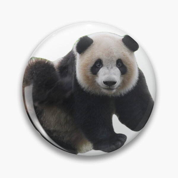 Item preview, Panda Wild aanimal collections designed and sold by NesgwenSing.
