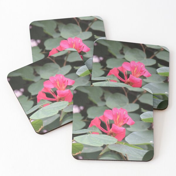 Item preview, Bauhinia flowers designed and sold by greentiger1.
