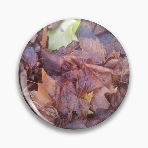 Item preview, Volksbolts/KABFA Designs, Fallen leaves one is still Green, By Miss K L Slomczynski designed and sold by KABFA Designs.