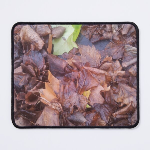 Item preview, Volksbolts/KABFA Designs, Fallen leaves one is still Green, By Miss K L Slomczynski designed and sold by KABFA Designs.