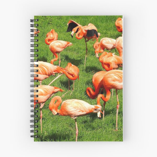 Item preview, Flamingo Tableau designed and sold by Barnbk02.