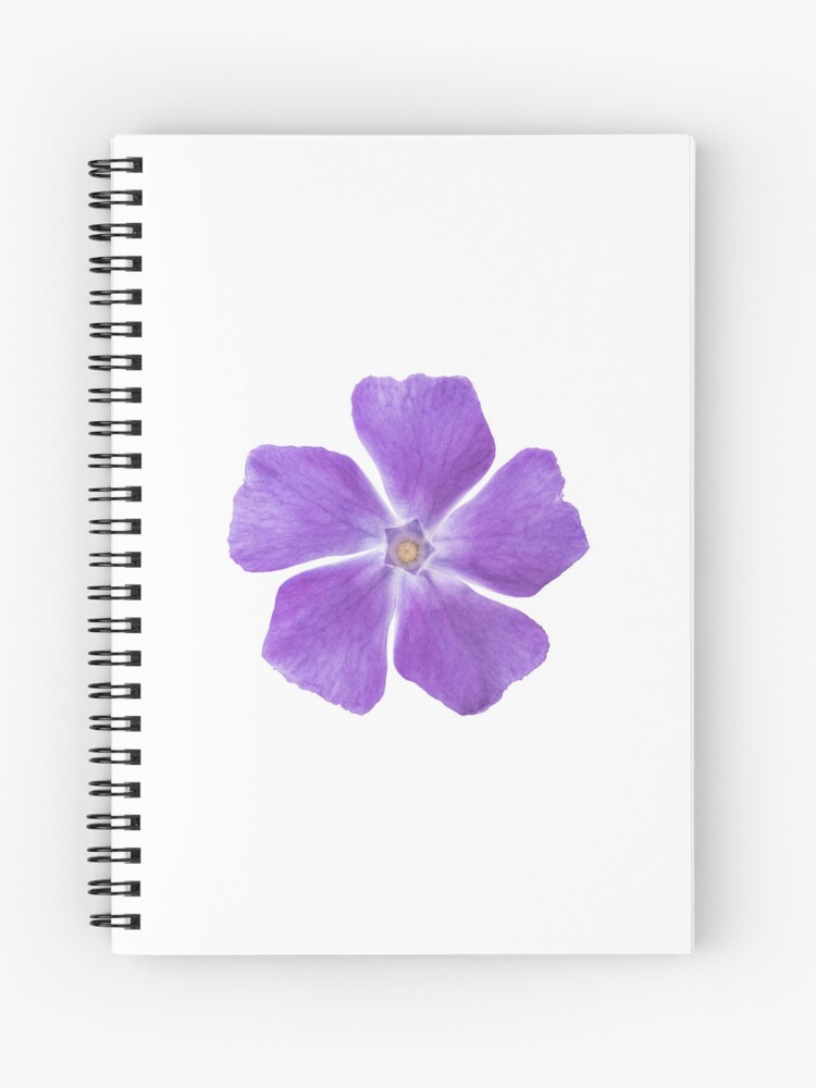 Cuaderno de espiral «Flor violeta flor de bígaro grande realista» de  StohlerPhotos | Redbubble