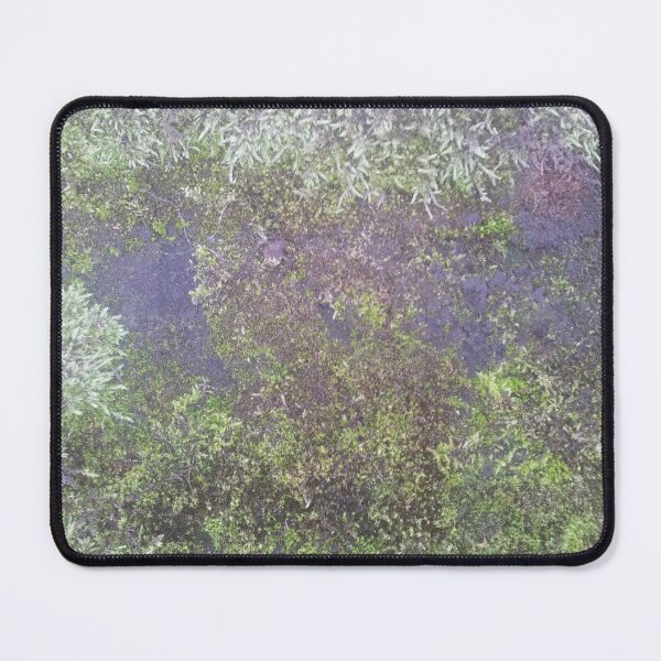 Item preview, Volksbolts/KABFA Designs, Green Moss on the wall at St Nicolas Church Nuneaton designed and sold by KABFA Designs.