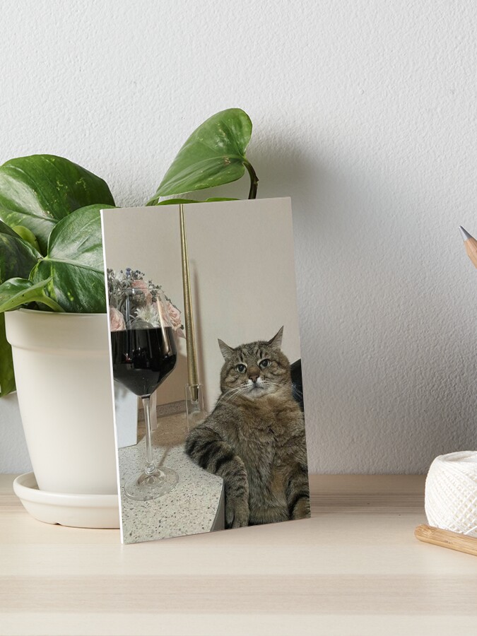 Two cute cats Art Board Print for Sale by uchiratheslayer