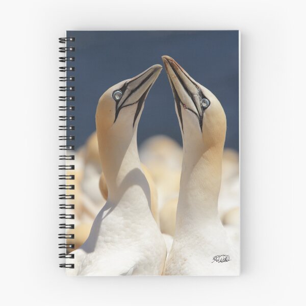 Item preview, Mating Ritual designed and sold by TCW Studios.