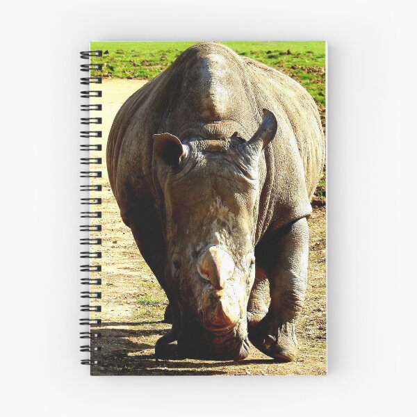 Item preview, Rhinoceros Approach designed and sold by Barnbk02.