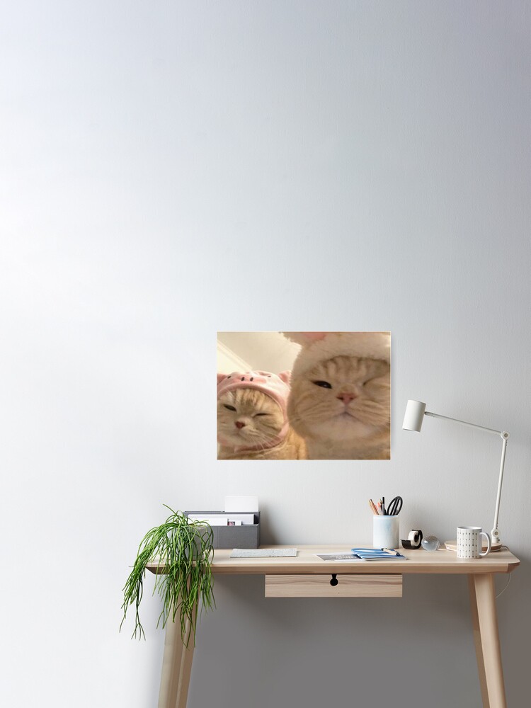 Two cute cats Art Board Print for Sale by uchiratheslayer