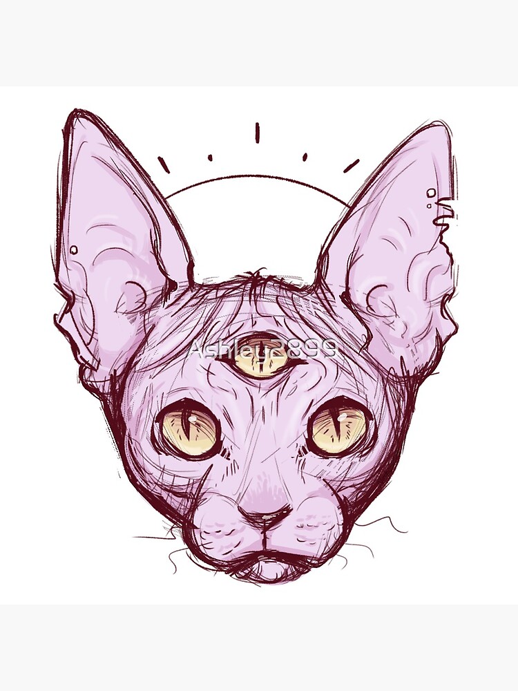 Three Eyed Sphynx Cat Sketch Poster By Ashley2899 Redbubble