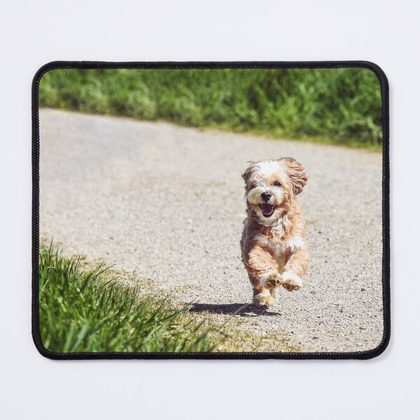 Item preview, Happy puppy running to you designed and sold by AlexSin.