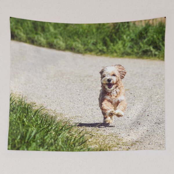 Item preview, Happy puppy running to you designed and sold by AlexSin.