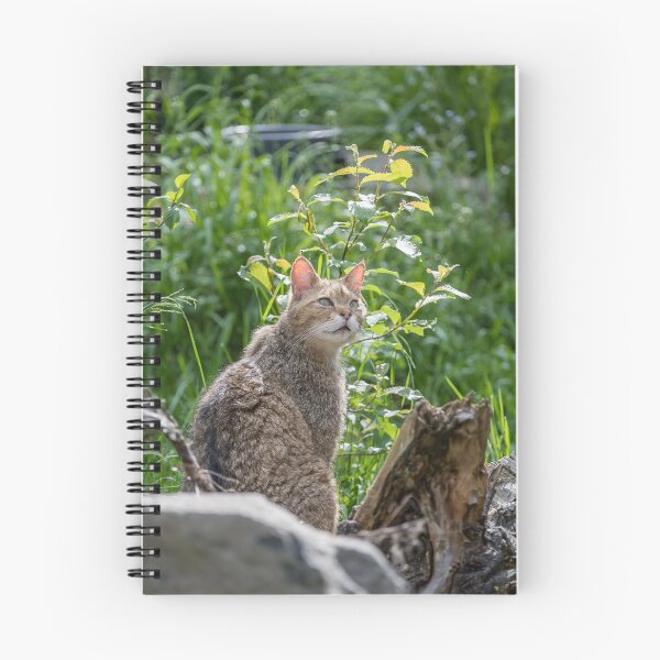 Item preview, Wild cat in its habitat designed and sold by Ingo Gerlach.