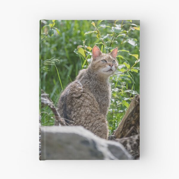 Item preview, Wild cat in its habitat designed and sold by Ingo Gerlach.