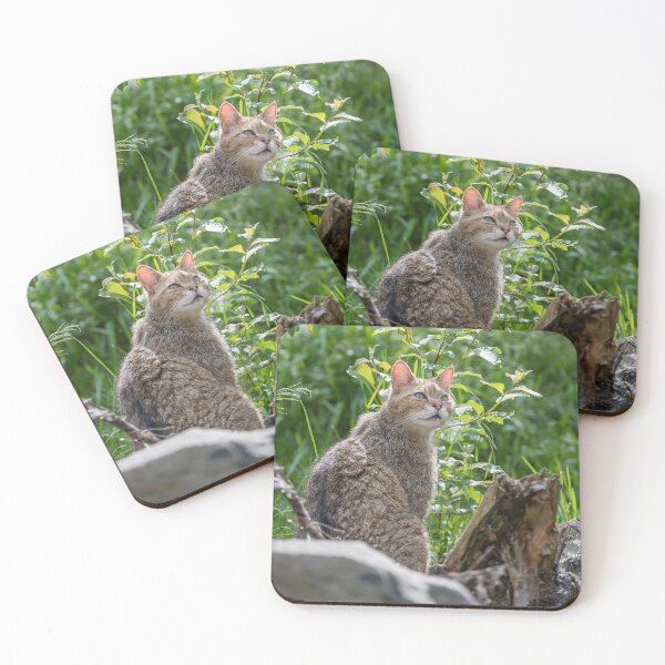 Item preview, Wild cat in its habitat designed and sold by Ingo Gerlach.
