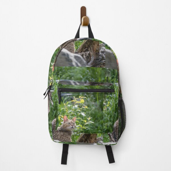Item preview, Wild cat in its habitat designed and sold by Ingo Gerlach.