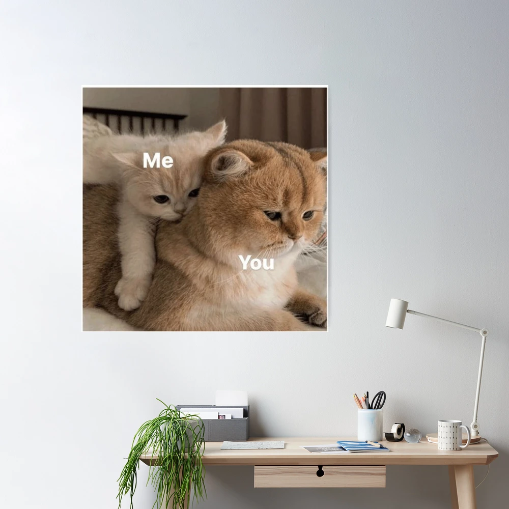 Two cute cats Art Board Print for Sale by uchiratheslayer