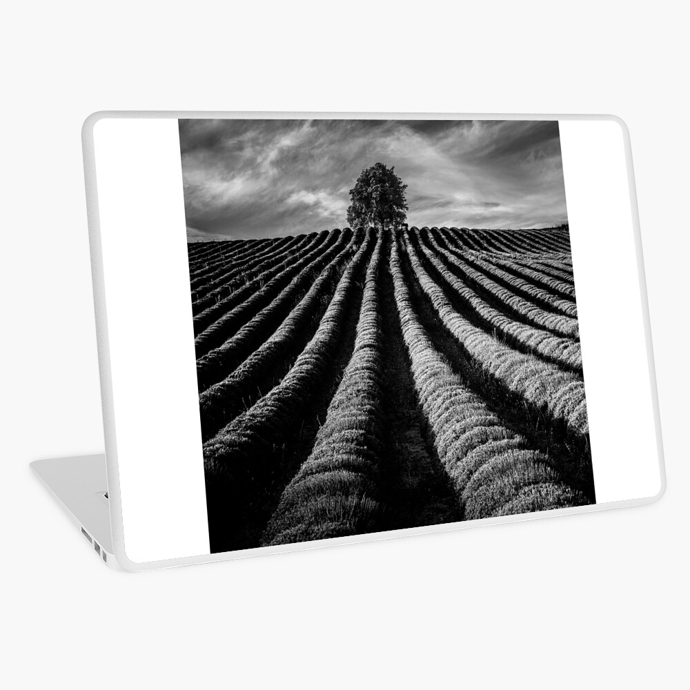 Item preview, Laptop Skin designed and sold by Livius.