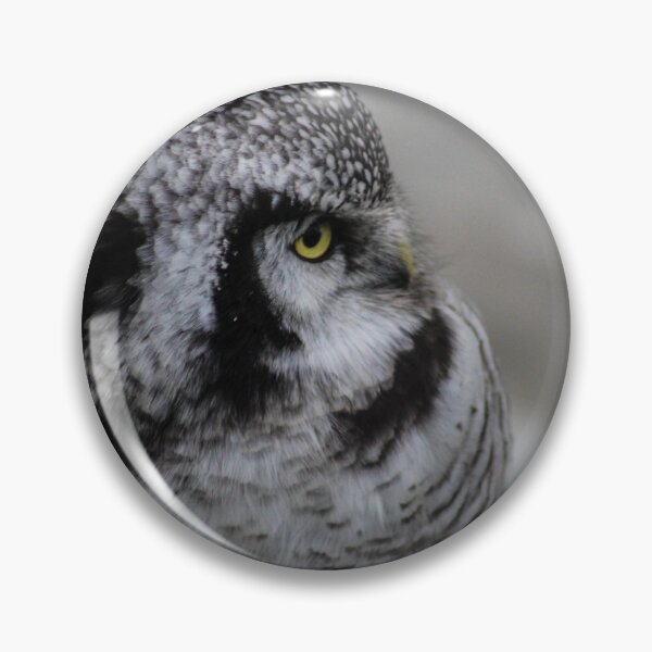 Item preview, yellow pop owl designed and sold by Perggals© - Stacey Turner.