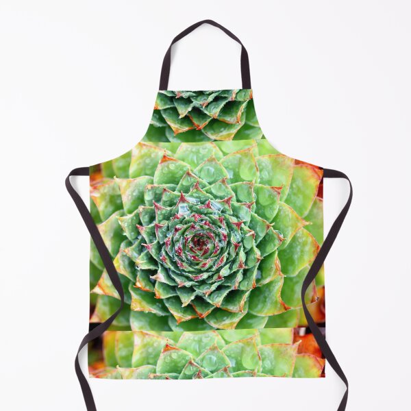Item preview, Kings Beach Succulent No1 designed and sold by NakedSunday.