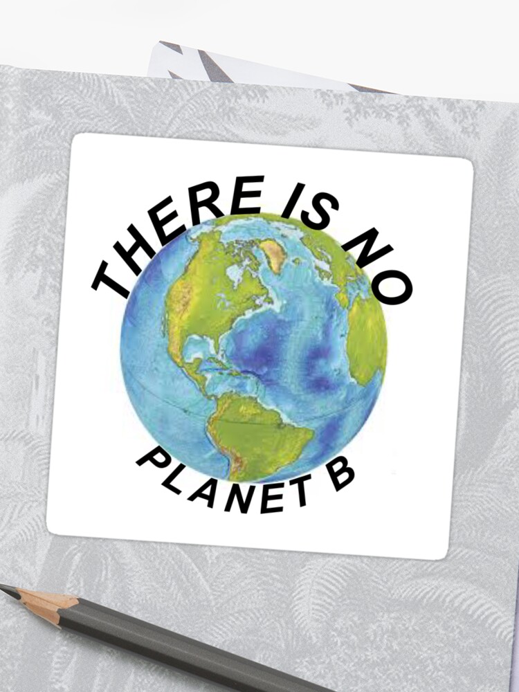 There Is No Planet B Sticker Sticker By Peachymeme Redbubble