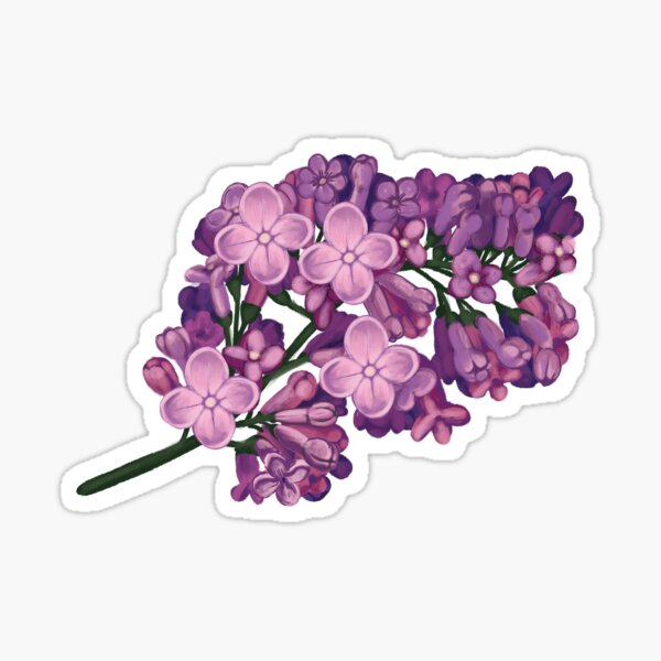 Pretty Purple Lilac Flower Sticker for Sale by WPhotographyW