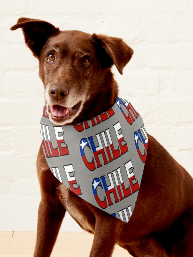 Chicago Cubs Dog Bandana standard Tie-on Bandana 