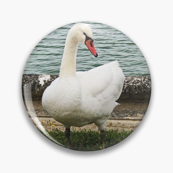 Item preview, Swan of Significance at Versailles  designed and sold by KazM.