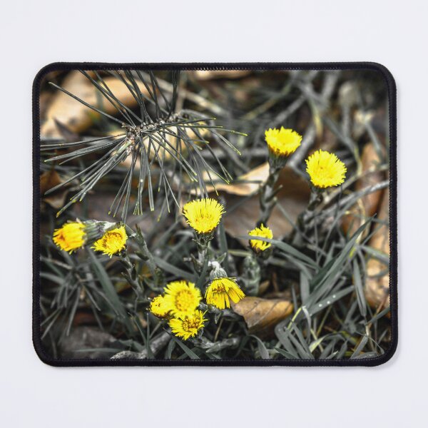 Item preview, A shallow focus shot of yellow flowers on a blurry background designed and sold by Ingo Menhard.
