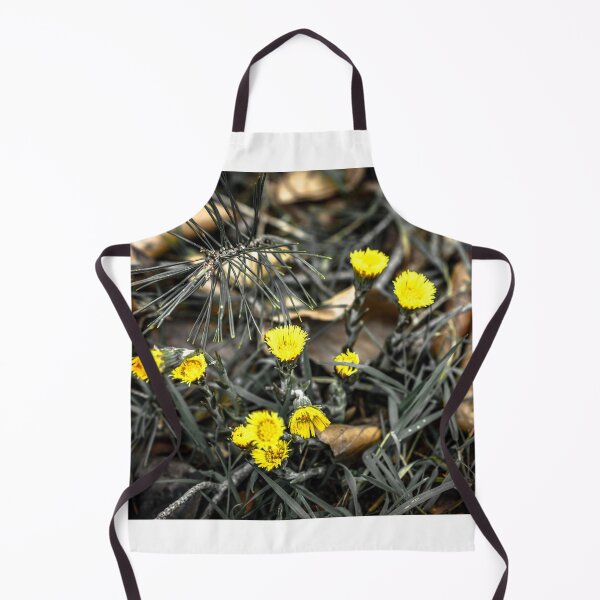 Artikelvorschau, Eine flache Fokusaufnahme gelber Blumen auf einem verschwommenen Hintergrund entworfen und verkauft von Ingo Menhard.