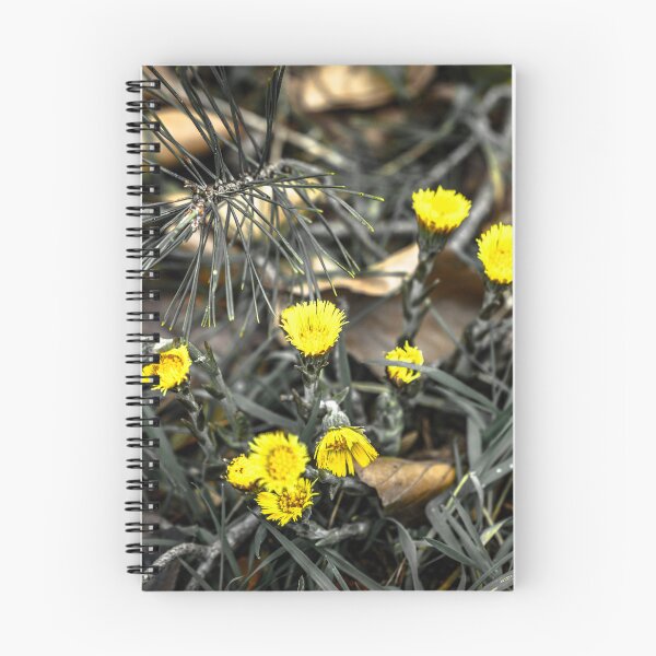 Item preview, A shallow focus shot of yellow flowers on a blurry background designed and sold by Ingo Menhard.