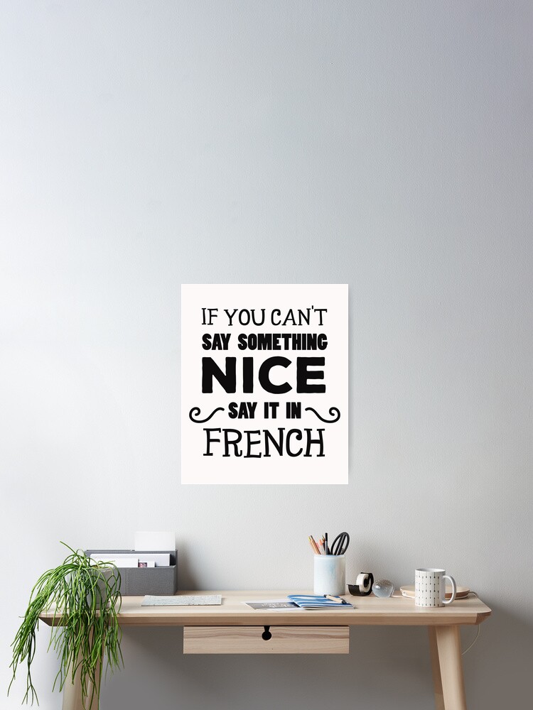 If You Can't Say Something Nice Say It In French T-Shirt If You Can't Say Something Nice Say It In French T-Shirt