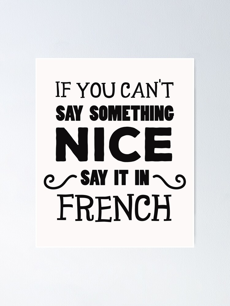 If You Can't Say Something Nice Say It In French T-Shirt If You Can't Say Something Nice Say It In French T-Shirt