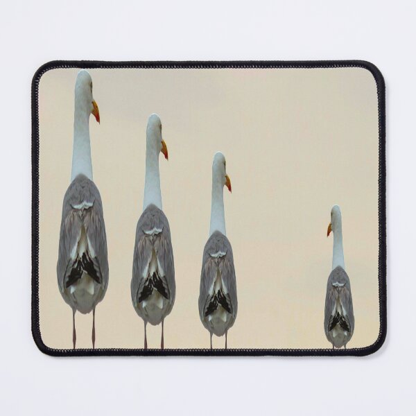 Item preview, fwc 1130 gulls designed and sold by fred chiea.