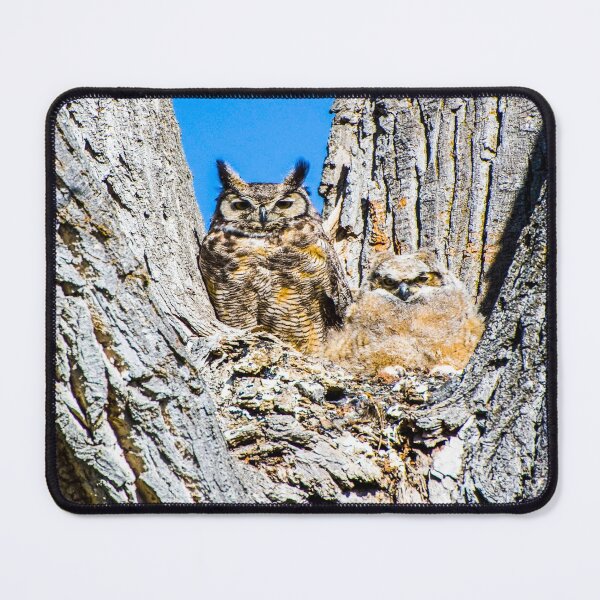 Item preview, fwc 1162 great horned owl designed and sold by fred chiea.