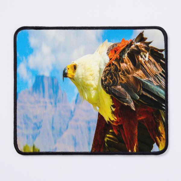 Item preview, fwc 1160 fish eagle designed and sold by fred chiea.