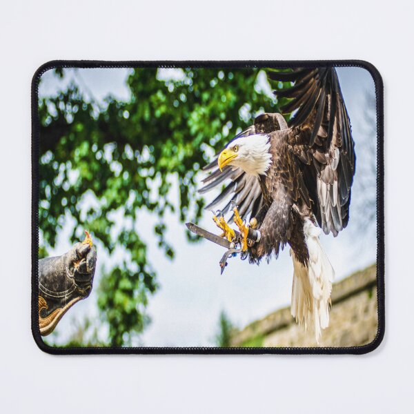 Item preview, fwc 1154 birds eye view designed and sold by fred chiea.
