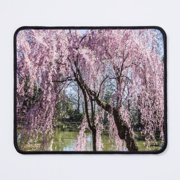 Item preview, fwc 1240 summer spring autumn usa designed and sold by fred chiea.