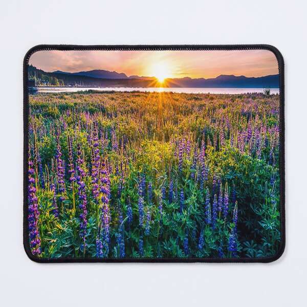 Item preview, fwc 1278 summer spring autumn usa designed and sold by fred chiea.