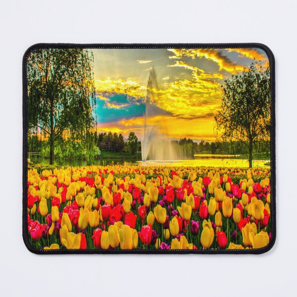 Item preview, fwc 1276 summer spring autumn usa designed and sold by fred chiea.