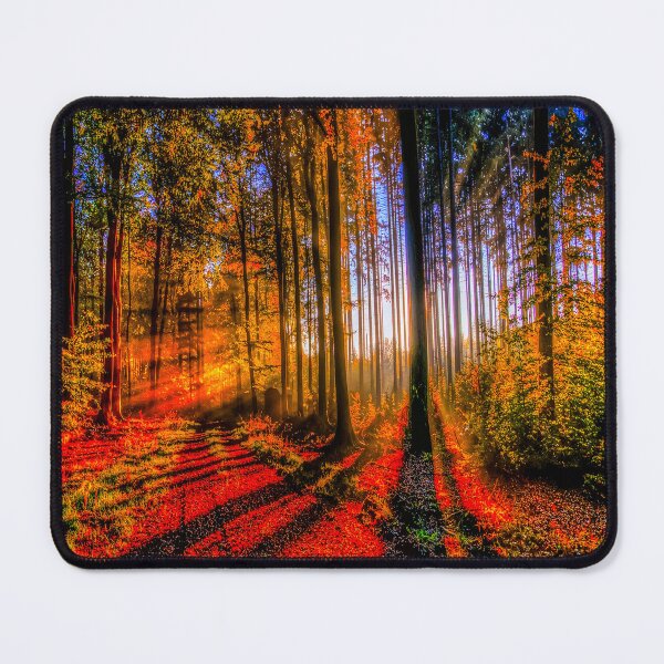 Item preview, fwc 1257 summer spring autumn usa designed and sold by fred chiea.