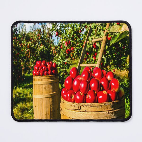 Item preview, fwc 1335 orchard designed and sold by fred chiea.