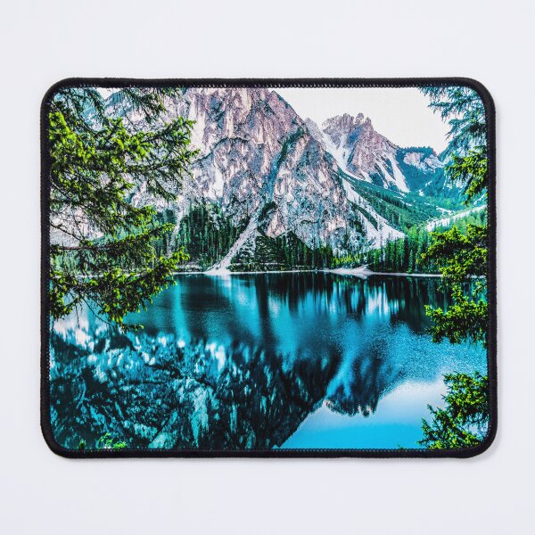 Item preview, fwc 1324 daylight forest glossy| designed and sold by fred chiea.