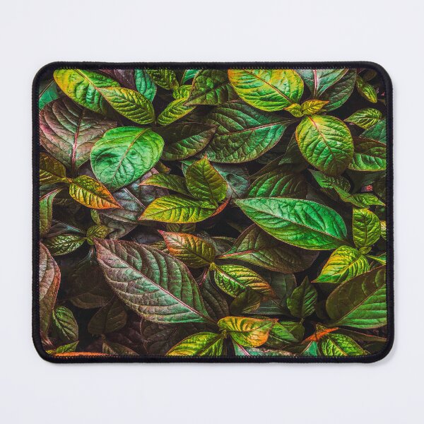 Item preview, fwc 1341 yousef espanioly -unsplash designed and sold by fred chiea.