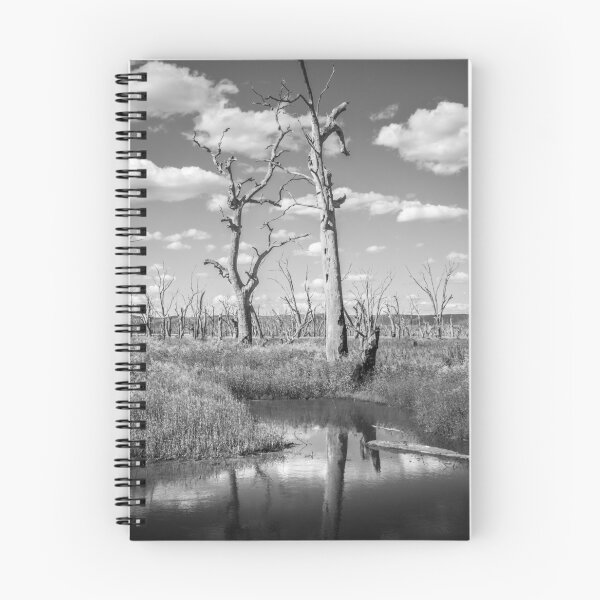 Item preview, Winton Wet Lands 3 designed and sold by Christine Wilson.