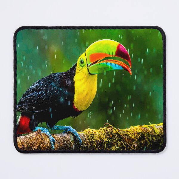 Item preview, fwc 1471 Toucan designed and sold by fred chiea.